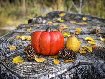 Autumn decoration like pumpkin, pear, yellow leaves