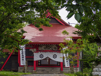 Built structure against trees