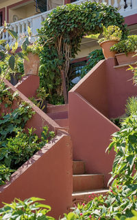 Potted plants in yard