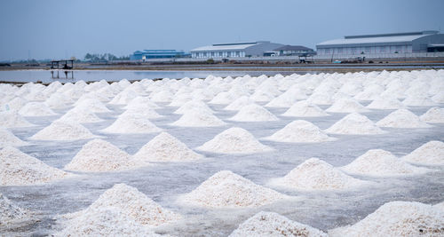 Landscape sea salt farm in thailand. brine salt. raw material of salt industrial. sodium chloride.