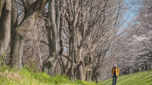 Rear view of man walking on field