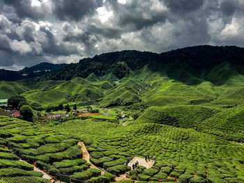 Scenic view of agricultural field against sky