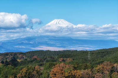 mountain