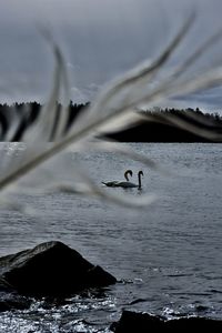 Scenic view of frozen lake against sky