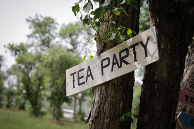 Information sign on tree trunk