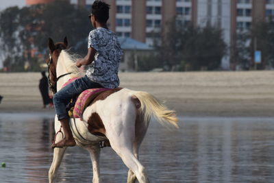 Rear view of woman riding dog on water