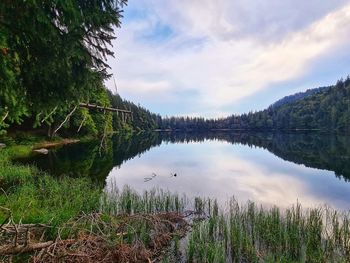 Scenic view of lake against sky