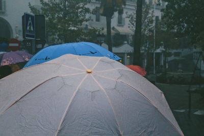 Close-up of wet umbrellas in rainy season