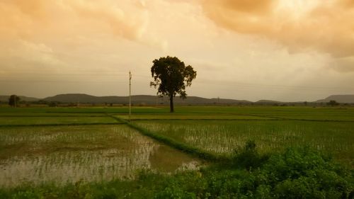 Scenic view of grassy field against cloudy sky