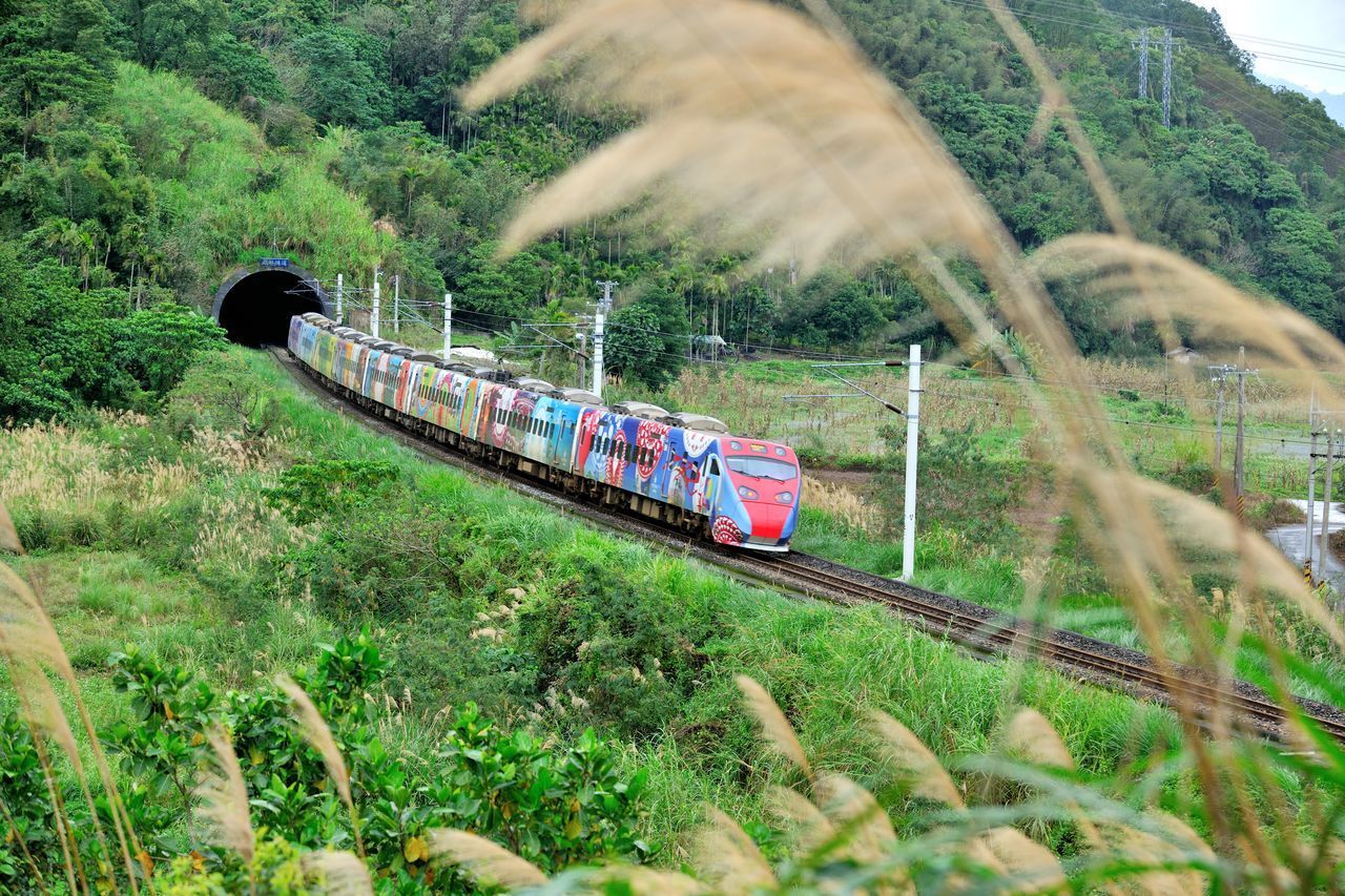 TRAIN ON RAILROAD TRACK BY TREES