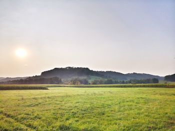Scenic view of field against sky