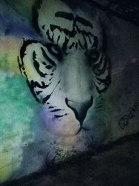 Close-up of graffiti on wall