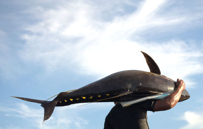 Low angle view of man carrying fish against sky