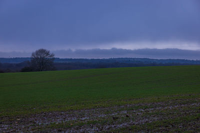 Scenic view of field against sky