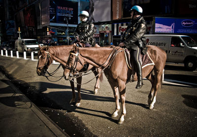 Cops riding horses in city