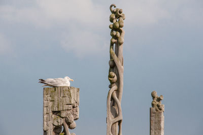 Low angle view of seagull on wooden post against sky