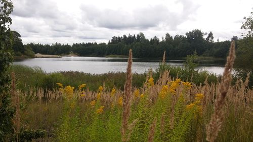 Scenic view of lake against sky