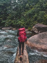 Rear view of man walking on rocks in forest