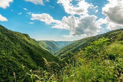 Green landscape against cloudy sky