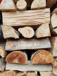 Stack of logs in forest