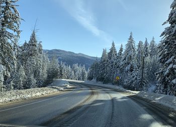 Road amidst trees against sky during winter