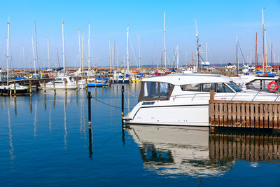 Sailboats moored in harbor