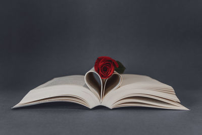 Close-up of red rose on table