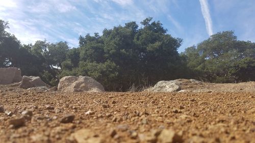 Surface level of pebble on landscape against sky