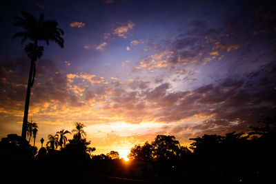 Low angle view of silhouette trees against sky during sunset