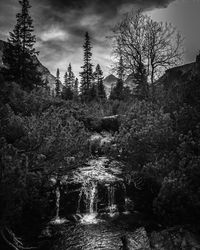 Scenic view of waterfall in forest against sky