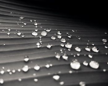 Full frame shot of water drops