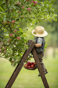 Woman wearing hat on tree by plants