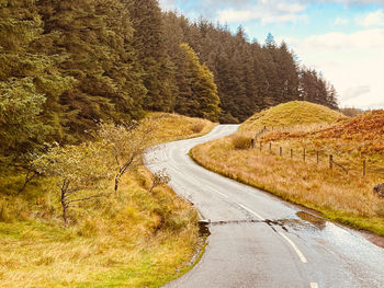 Road amidst trees against sky