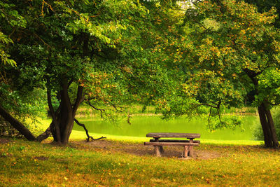 Empty bench in park