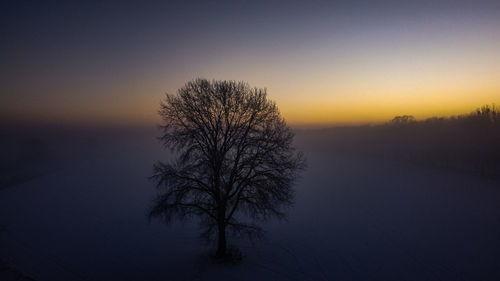 Silhouette bare tree against clear sky at sunset