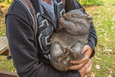 Midsection of man holding kangaroo