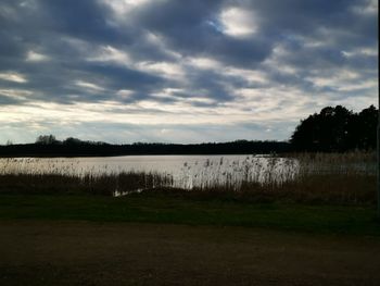 Scenic view of field against sky