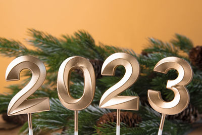 Close-up of decoration