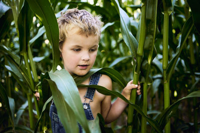 Portrait of boy against plants