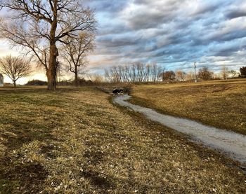 Road amidst bare trees on field against sky