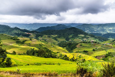 Scenic view of landscape against sky