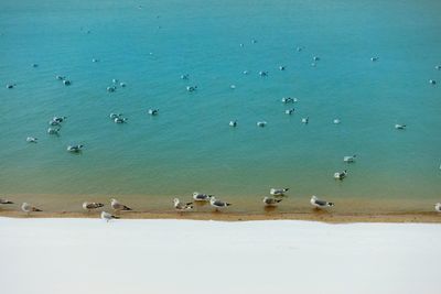 High angle view of people on beach