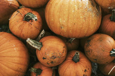 High angle view of pumpkins in market