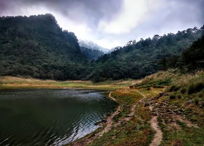 Scenic view of river in forest against sky