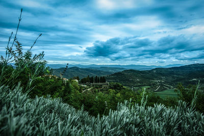 Scenic view of landscape against sky