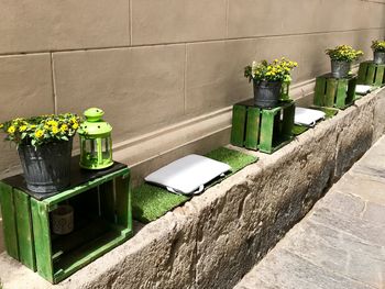 High angle view of potted plant against wall