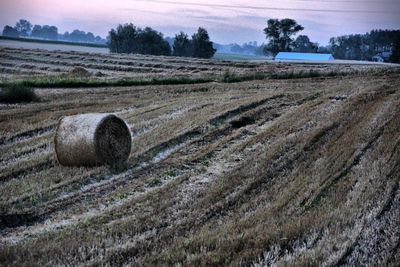 Hay bales on field