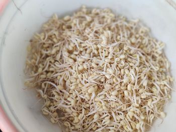 High angle view of meal served in bowl