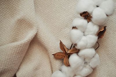 High angle view of white stuffed toy at home