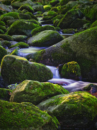 Rocks in river